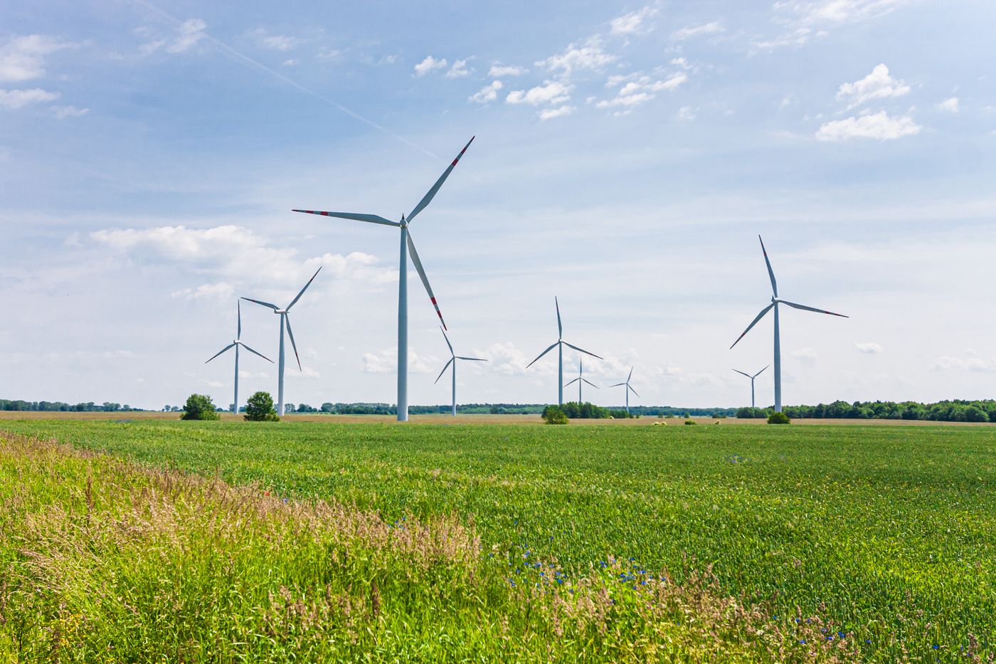 Wind turbines across a rural landscape